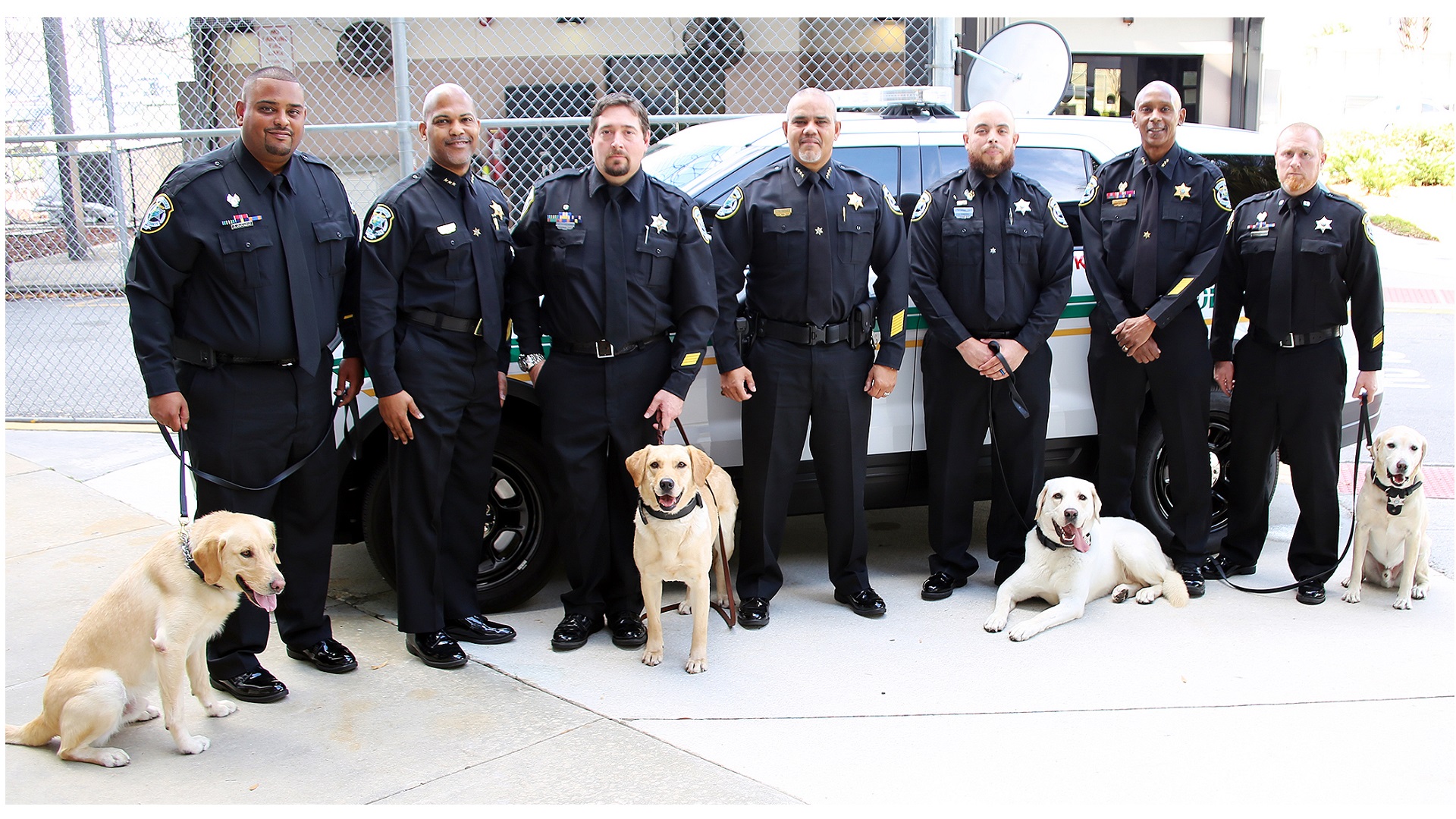 Image of Chief, DC's, and K9's